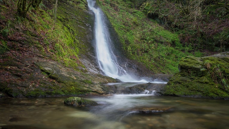 The white strands of Whitelady Waterfall flow down the rock face, green moss either side, at Lydford Gorge
